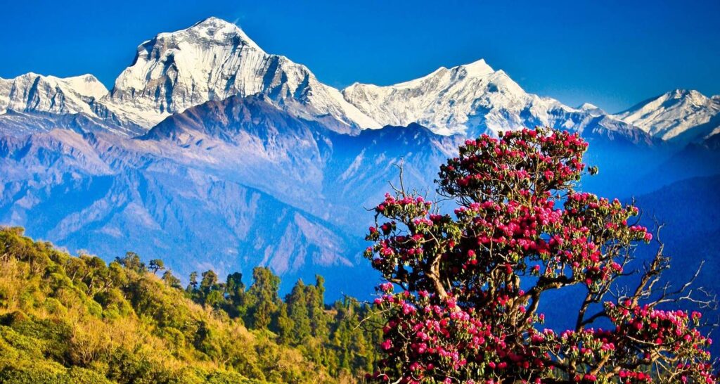 wonderful nepal